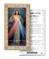  "The Chaplet of Divine Mercy" Prayer/Holy Card (Paper/100) 