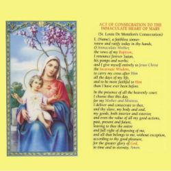  \"Act of Consecration to the Immaculate Heart of Mary\" Laminated Prayer/Holy Card (25 pc) 