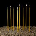  Orthodox Tapers 100% Beeswax 1/4 x 11 - 10 Lb (600/bx) 
