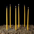  Orthodox Tapers 100% Beeswax 7/16 x 11 - 10 Lb (260/bx) 
