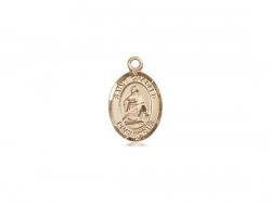  St. Charles Borromeo Neck Medal/Pendant Only 