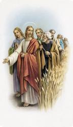  \"Jesus & the Apostles\" Prayer/Holy Card  (Paper/100) 