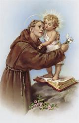  \"Saint Anthony of Padua\" Prayer/Holy Card (Paper/100) 