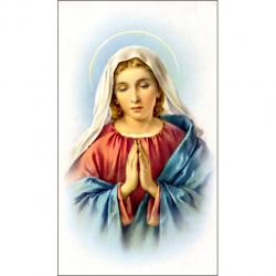 \"Madonna\" Prayer/Holy Card (Paper/100) 
