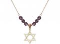  Star of David Medal Birthstone Necklace Available in 15 Colors 