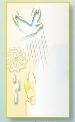  DEFAULT HOLY CARD (10 PC) 