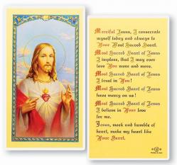  \"Merciful Jesus\" Laminated Prayer/Holy Card (25 pc) 
