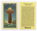  "Saint Francis' Canticle of All Creatures" Laminated Prayer/Holy Card (25 pc) 