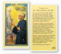  "Prayer to St. Maximillian Kolbe" Laminated Prayer/Holy Card (25 pc) 