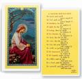  "A Savior Meditation" Laminated Prayer/Holy Card (25 pc) 