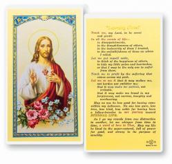  \"Learning Christ\" Laminated Prayer/Holy Card (25 pc) 