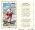  "Safely Home, Good Shepherd" Prayer/Holy Card (Paper/50) 
