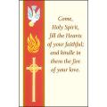  Banner Confirmation Holy Card 