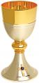  Gold & Silver Plated Chalice 