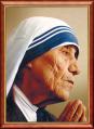  St. Teresa of Calcutta 16 x 20 Walnut Frame Print 