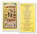  "Misterios Del Santo Rosario, Misterios Gozosos" Laminated Prayer/Holy Card (25 pc) 