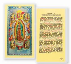  \"N.S. DE GUADALUPE CON VISIONES\" Laminated Prayer/Holy Card (25 pc) 