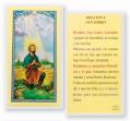  "ORACION A SAN ISIDRO" Laminated Prayer/Holy Card (25 pc) 