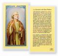  "LA SOMBRA DE SAN PEDRO" Laminated Prayer/Holy Card (25 pc) 