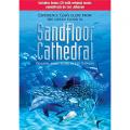  Sandfloor Cathedral (CD/DVD) 