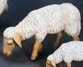  Individual Statue of Nativity Set - Sheep Grazing 