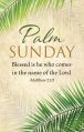 Palm Sunday Bulletin 
